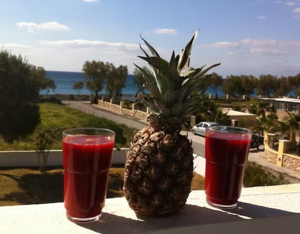 Thalassitis Coastal Apartments Περίβολος Εξωτερικό φωτογραφία